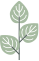 Foral Lawns Inc Logo
